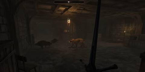 Lions in Elder Scrolls: Oblivion Remastered