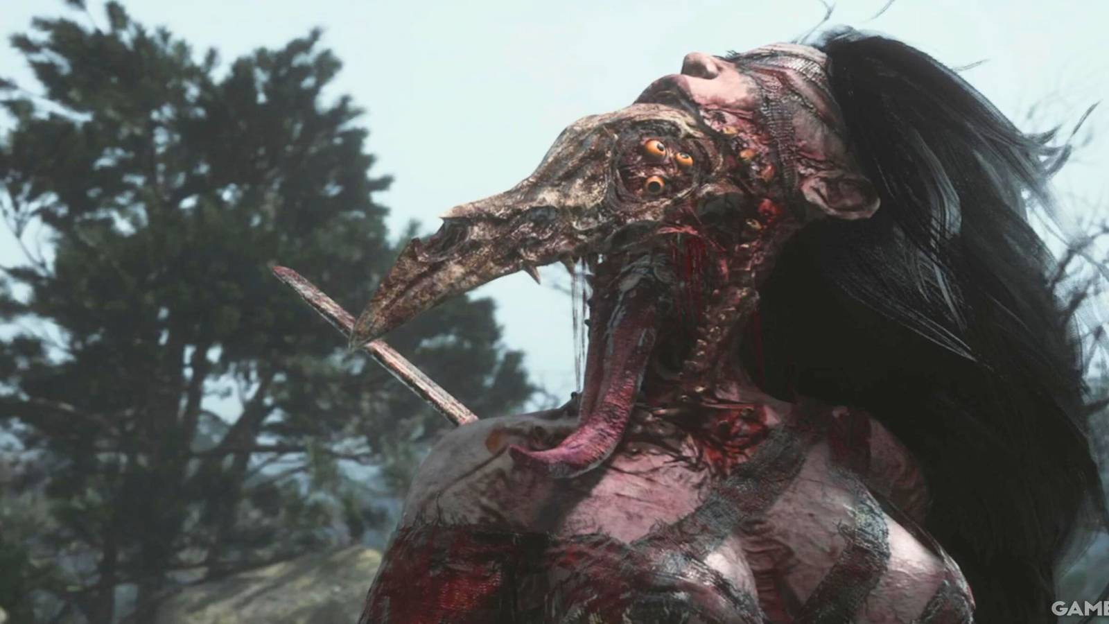 Lu Hongliu in the boss' opening cinematic 