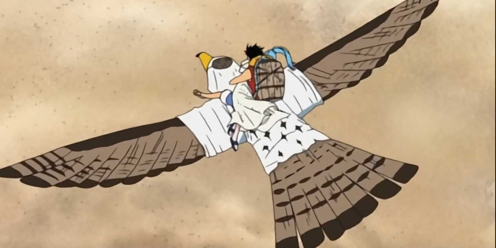 Pell dengan Tori Tori no Mi Model Falcon, Devil Fruit terbang di One Piece
