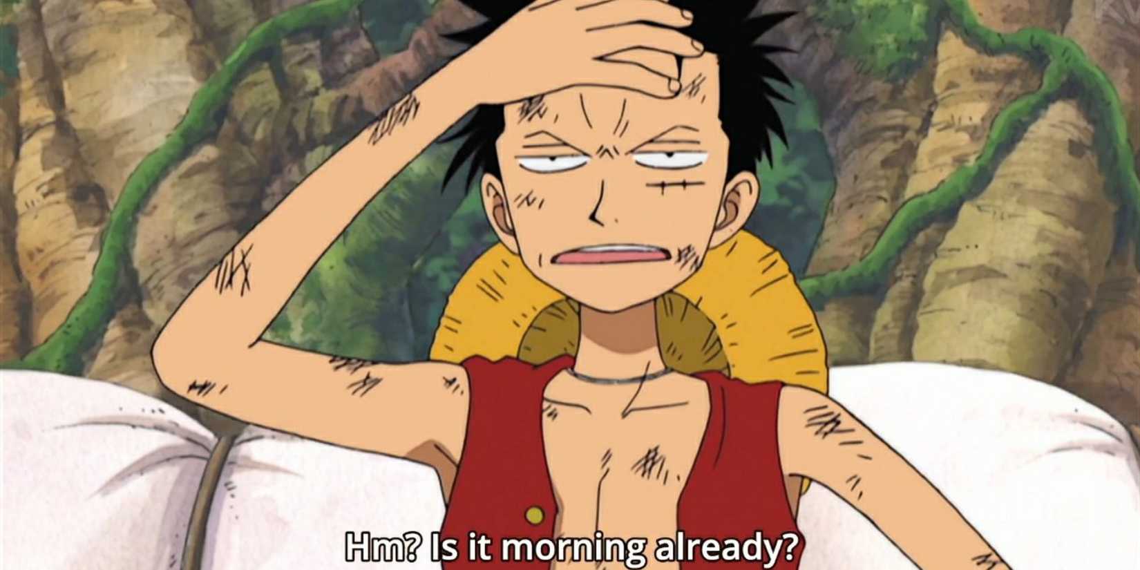 Luffy Imitating Zoro One Piece