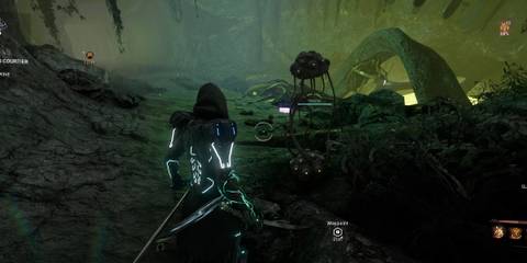 Inside Primrose cave and tasoma deposit