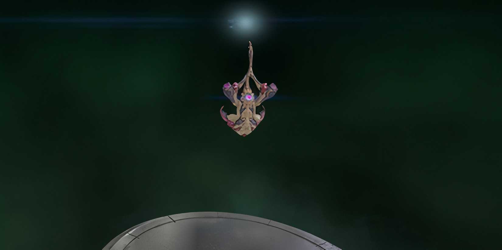 Djinn companion menu 