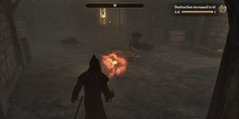 Rat problem quest walkthrough