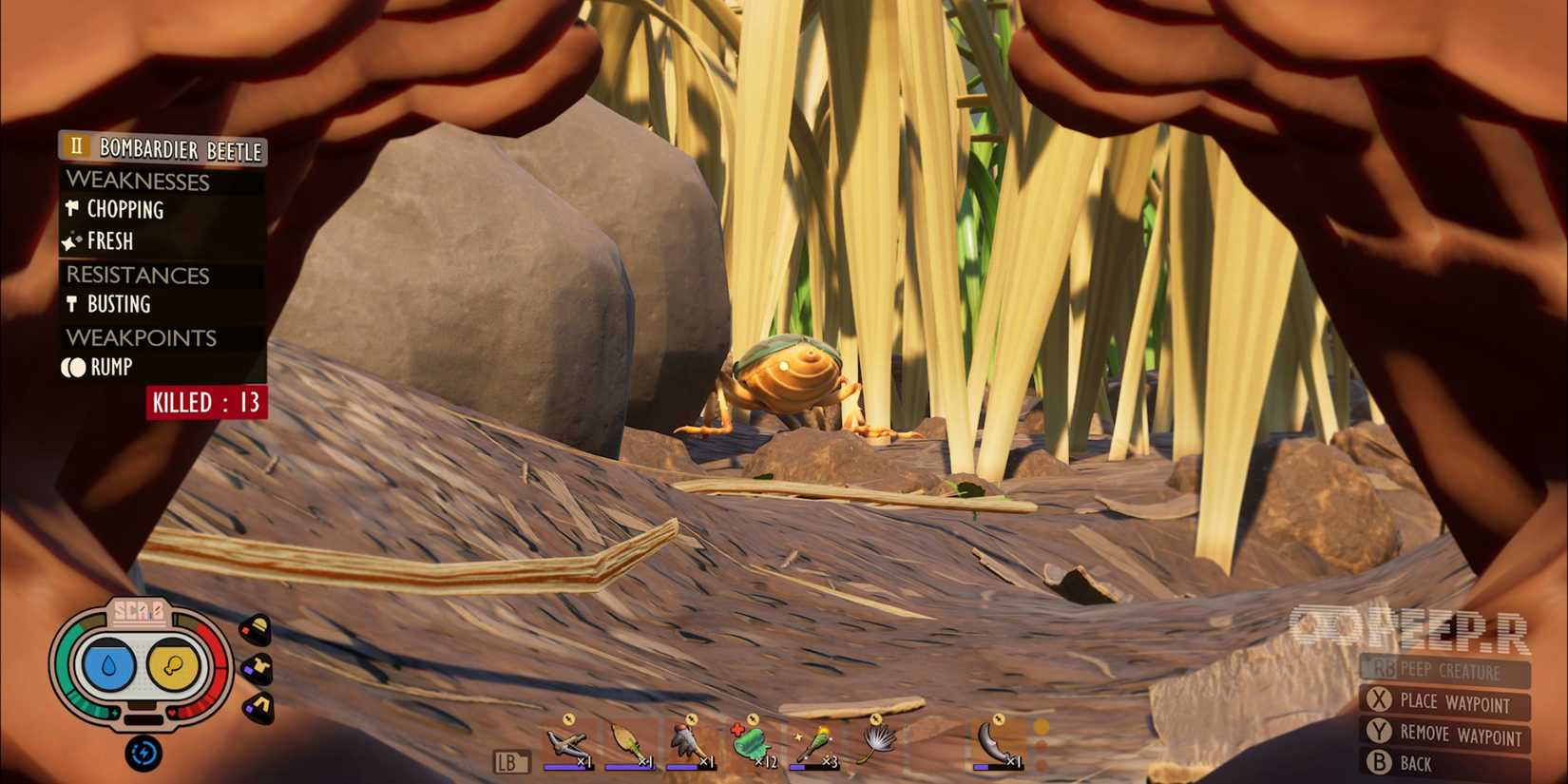 Peeping a Bombadier Beetle in Grounded