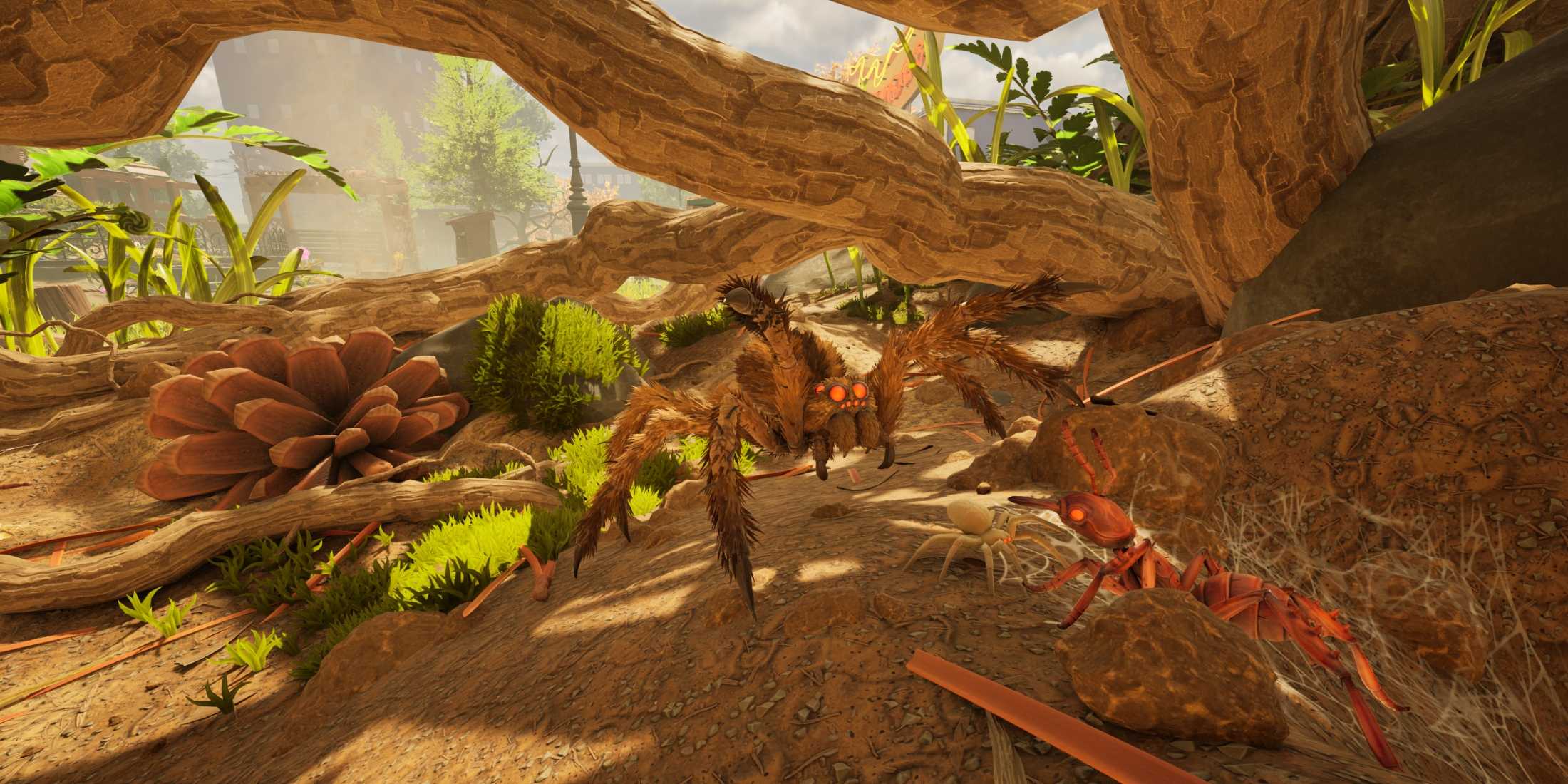 Soiser Grounded 2: Wolf Spider Locations