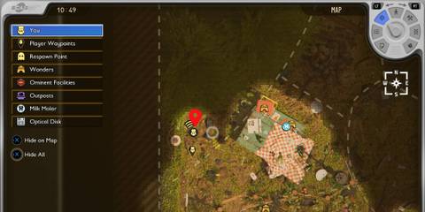 Pine Needles Location Grounded 2