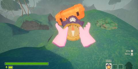 pirates compass peak 