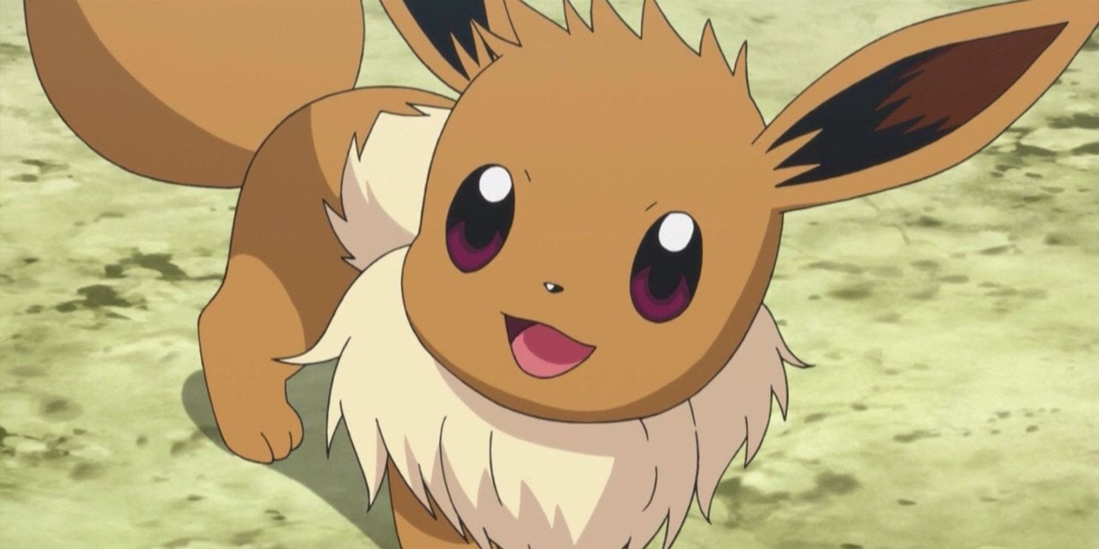 Pokemon Eevee