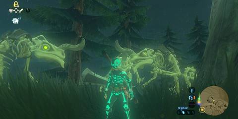 Radiant Set in The Legend of Zelda Breath of the Wild