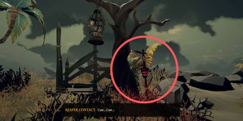 Reaper parrot in Sea of Thieves Followers of the Flame quest
