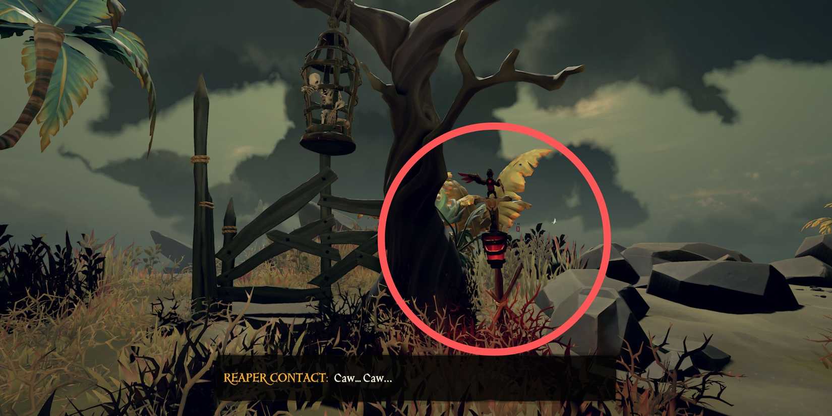 Reaper parrot in Sea of Thieves Followers of the Flame quest