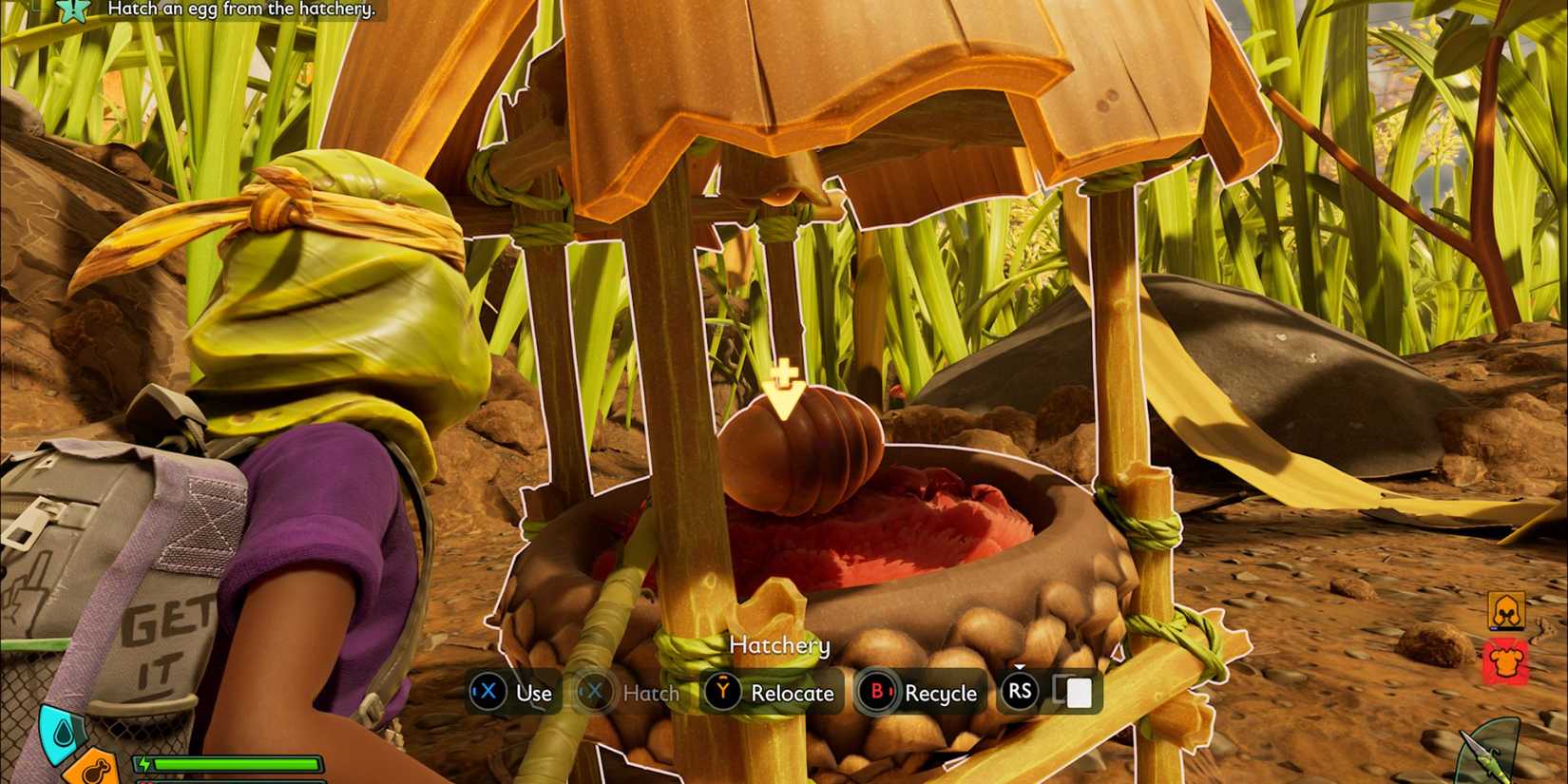 How to Get Red Soldier Ant Buggy and Make a Hatchery in Grounded 2