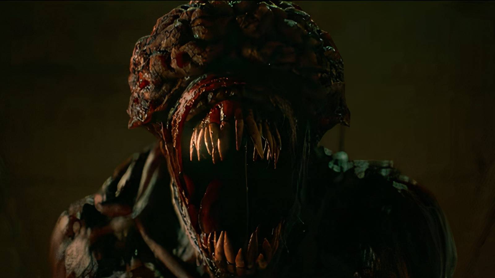 resident evil reboot director avoided watching the films