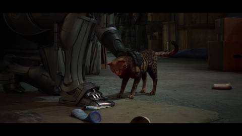 robocop-rogue-city-unfinished-business_pet-the-cat