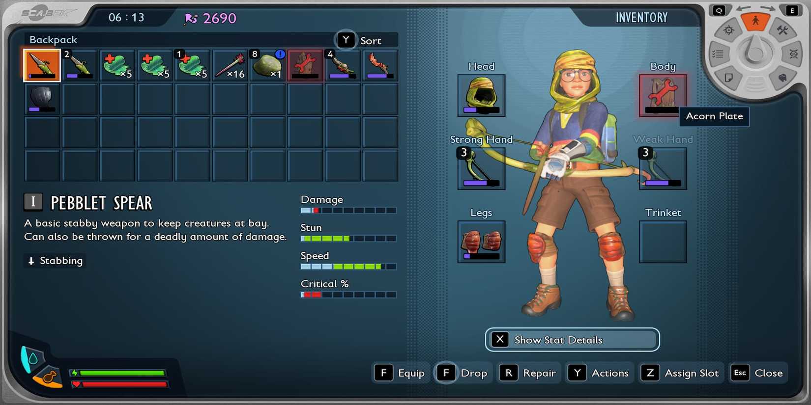 The Player's Inventory Showing Damaged Gear 