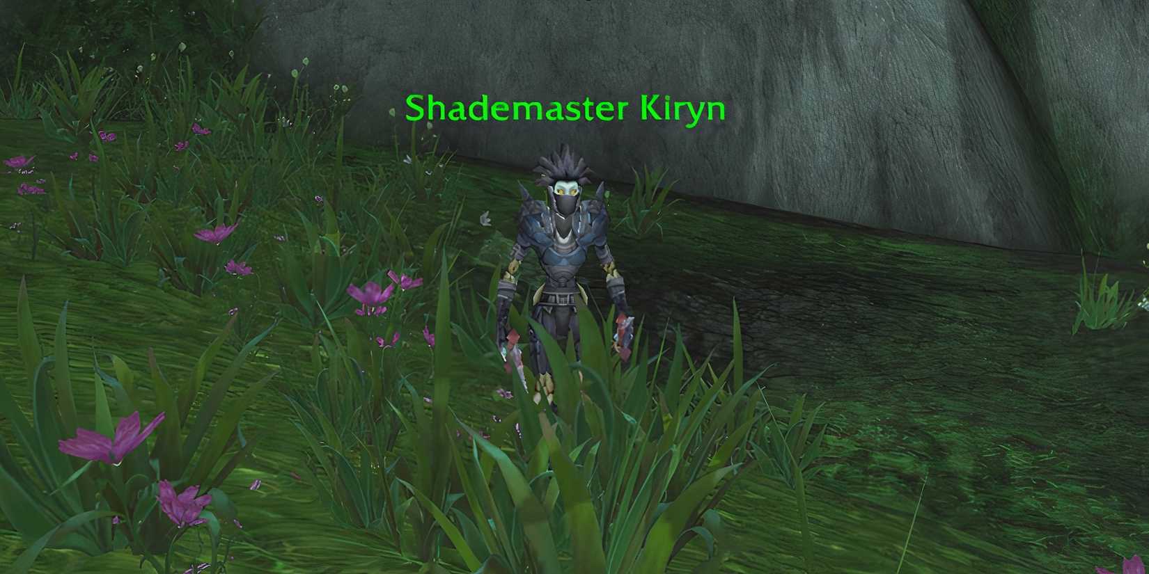 shademaster kiryn skinning trainer