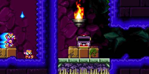 Shantae as a monkey in Shantae Risky's Revenge