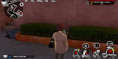 Sixth Orange Tabby Treasure Location P5X (2)