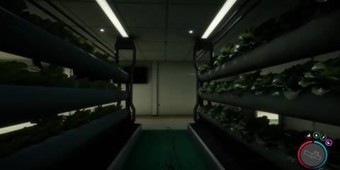 Sons of the Forest Food bunker hydroponics farm