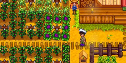 stardew valley player with 1000 hours surprised by cutscene