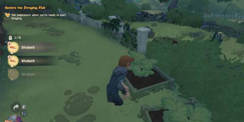 Tales of the Shire harvesting Rhubarb