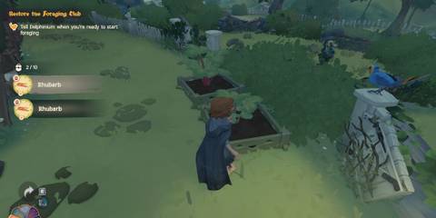 Tales of the Shire planting Rhubarb