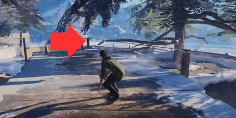 The Horn THPS 3+4 Canada