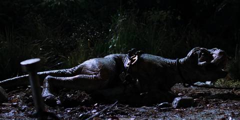Junior, the baby T-Rex, crying out in pain in The Lost World: Jurassic Park