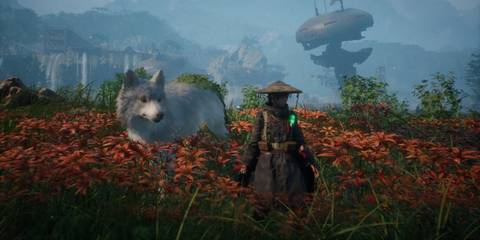 The main character and her wolf companion - Beast Of Reincarnation