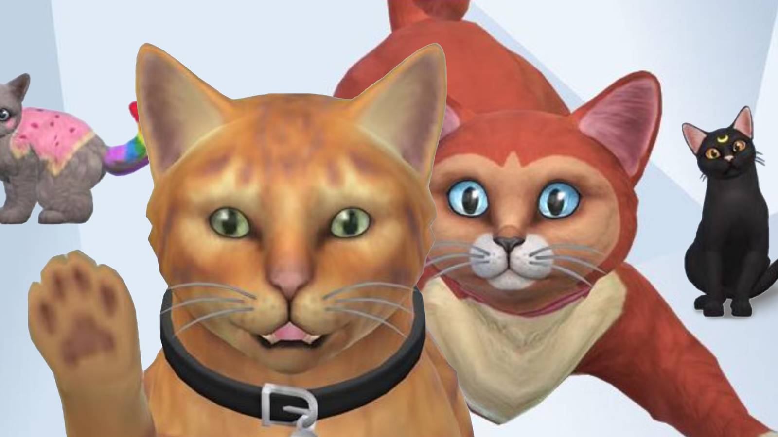 The-Sims-4-Best-Fictional-Cats-in-the-Gallery