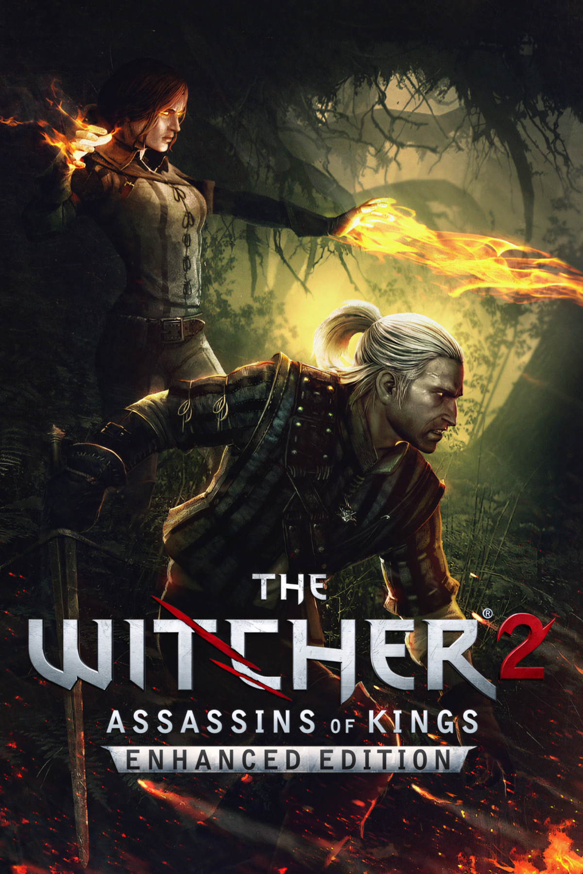The Witcher 2: Assassins of Kings (Enhanced Edition) Tag Page Cover Art