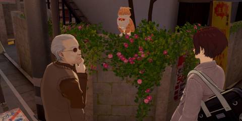 Treasure Tail Yongen-Jaya All Orange Tabby Treasure Locations P5X Persona 5 The Phantom X