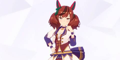 Umamusume Nice Nature