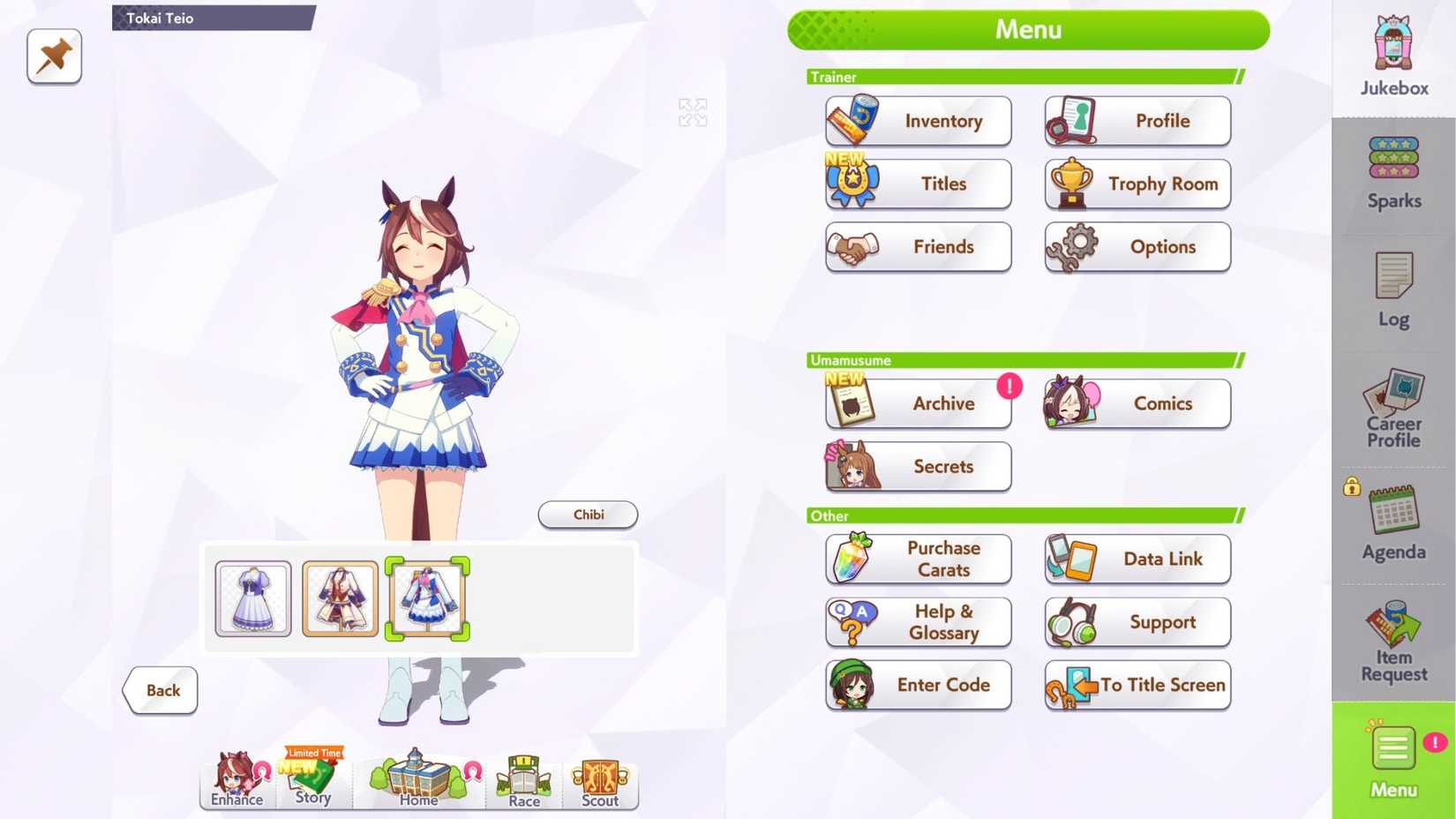 Umamusume Signature Racewear