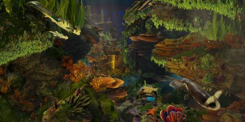 underwater life ark aquatica ark survival evolved-1