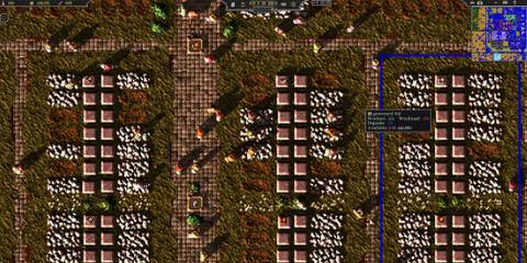 A close up of people in Songs of Syx