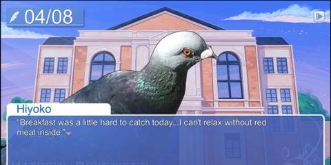 Talking to Hiyoko in Hatoful Boyfriend
