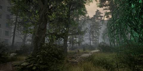 A woodland area in Chernobylite