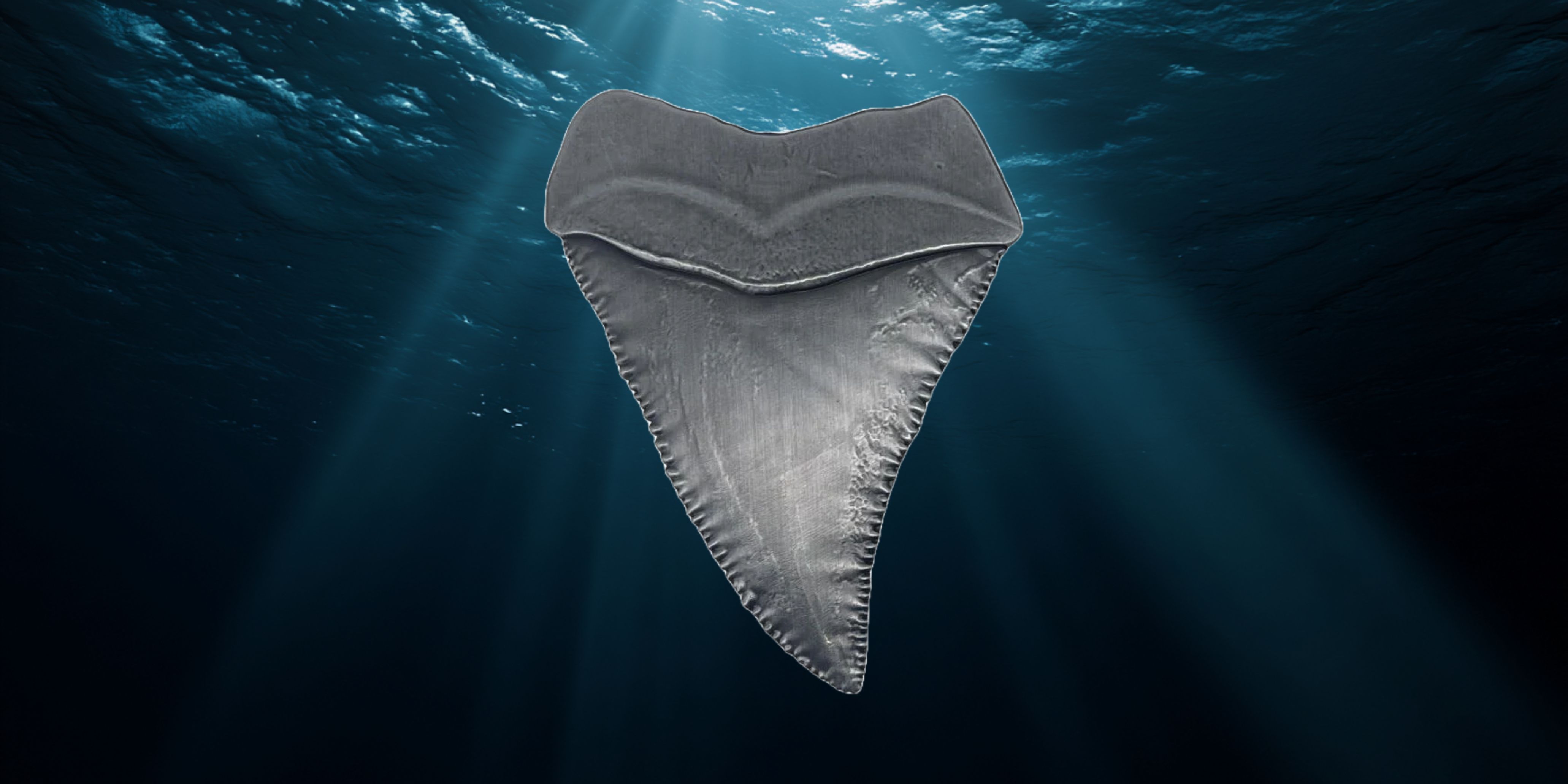 Image of the Jaws tooth on a blue ocean background.