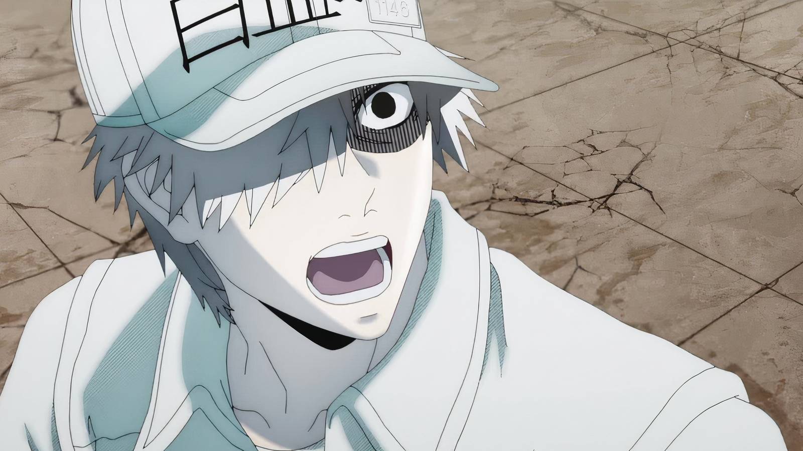 White Blood Cell in Cells At Work 