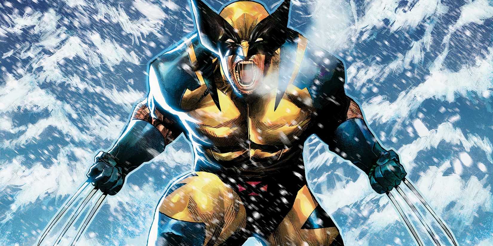 Wolverine X-Men 2