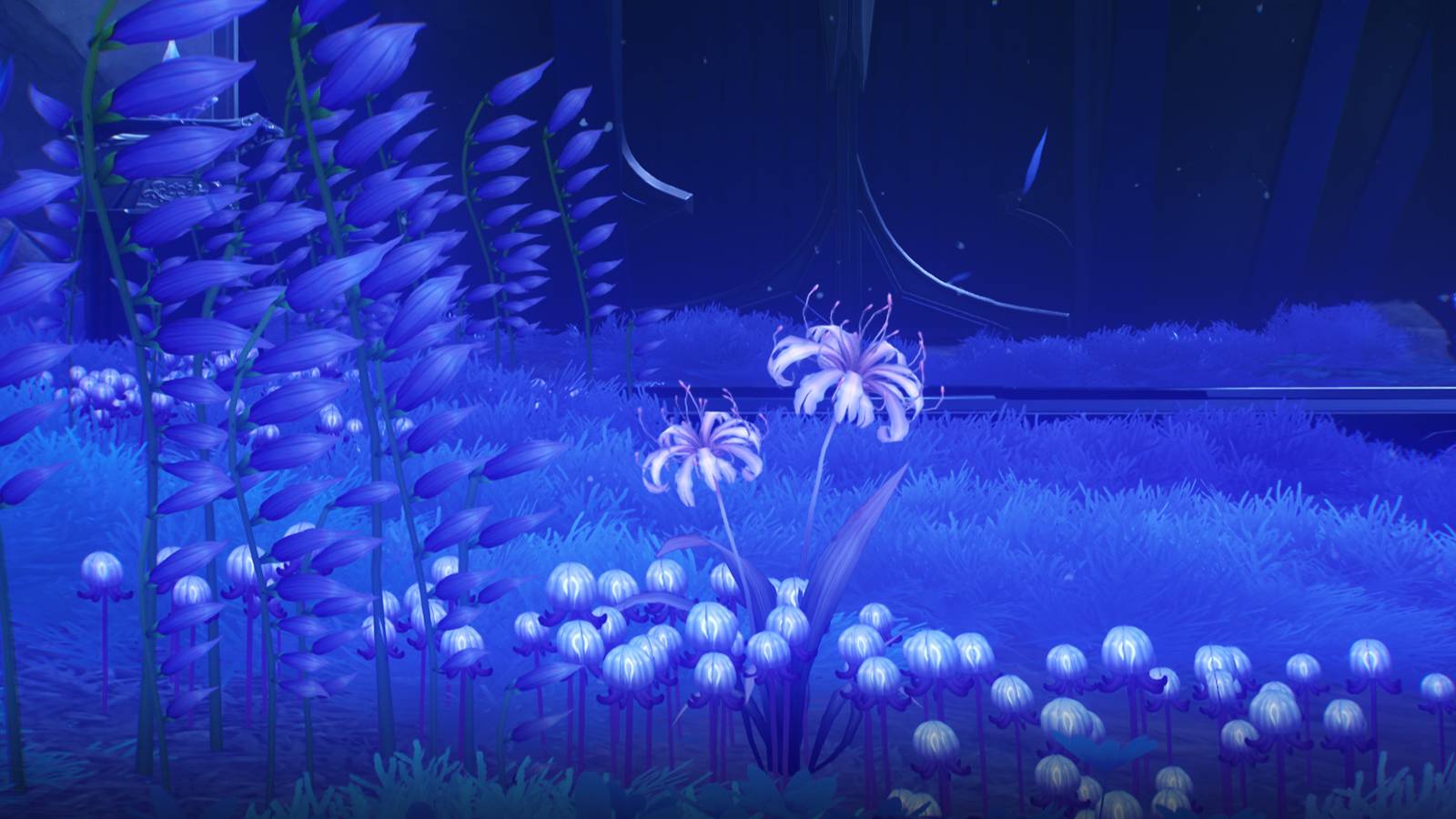 wuthering waves afterlife locations