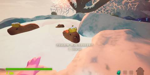 yellow winterberries peak