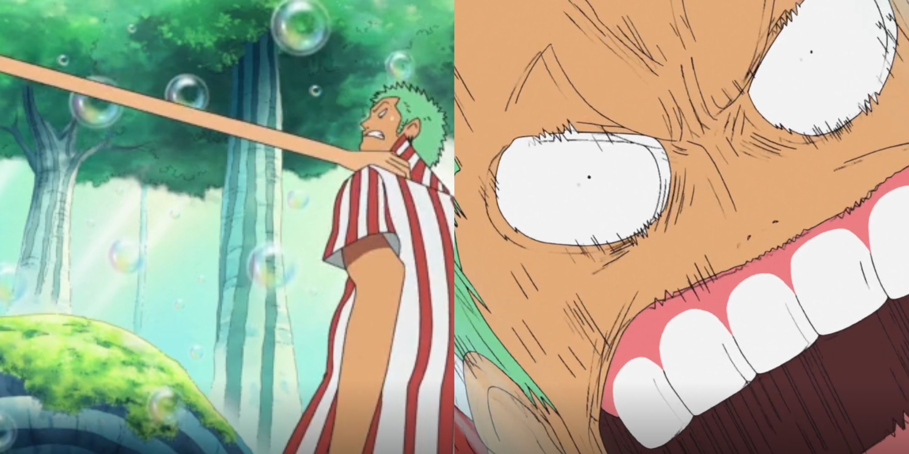 Zoro suffering