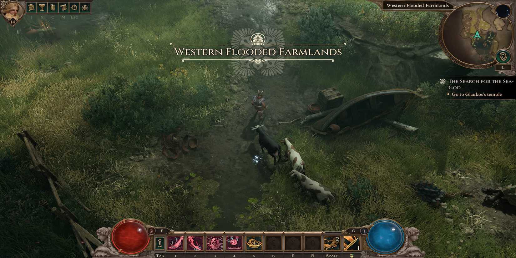 The Missing Cows Following the Player