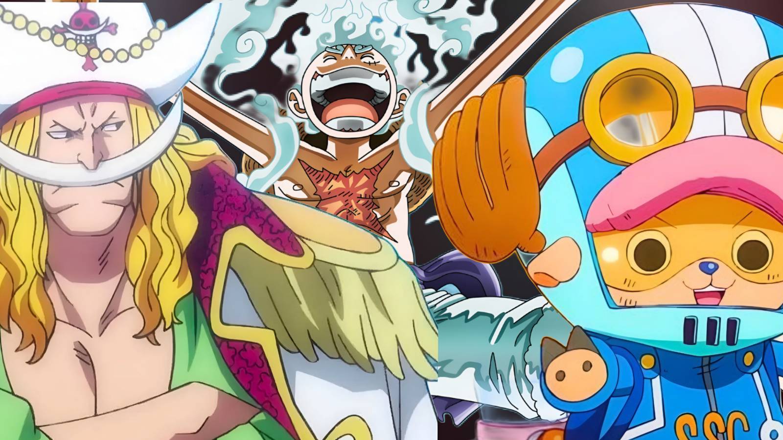Featured Most Lovable Characters In One Piece, Ranked Chopper Luffy Whitebeard