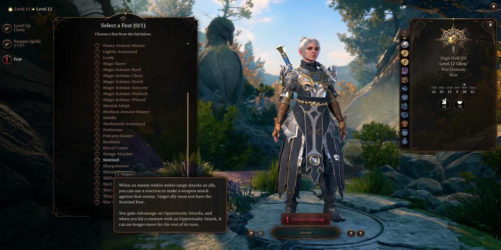 The Player Getting the Sentinel Feat 