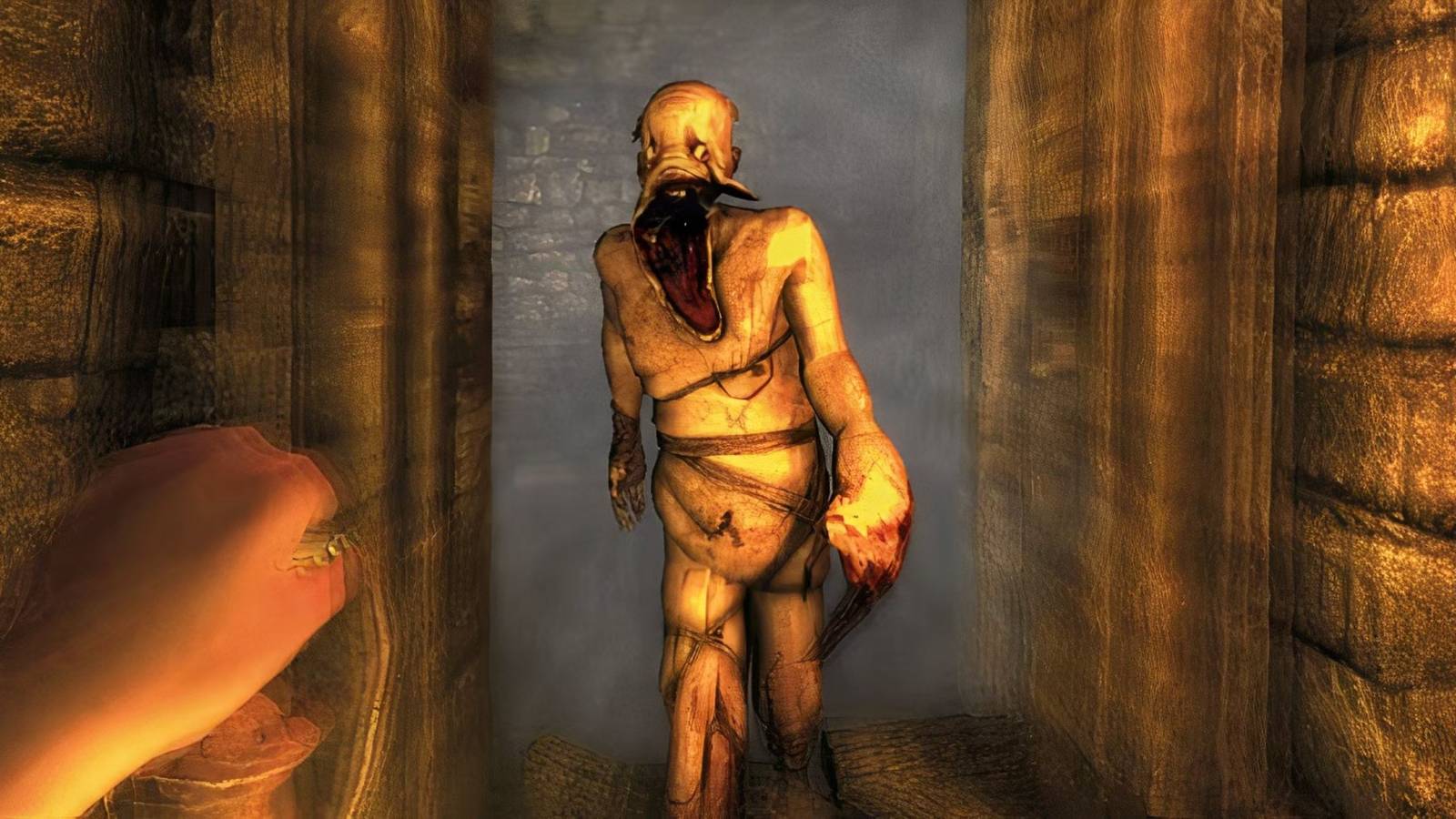 Amnesia The Dark Descent