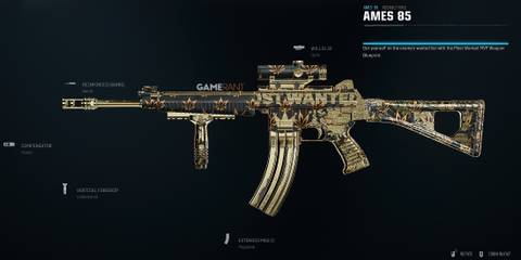 Best Warzone AMES 85 Build