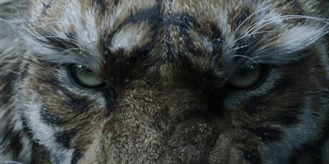 black-myth-sequel-zhong-kui-announced-game-rant-tiger-face-1